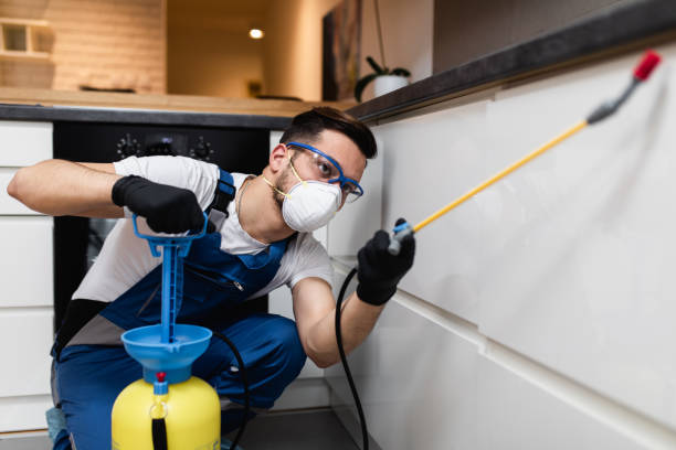 Best Wasp Removal Services  in Park City, MT