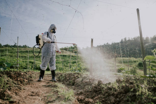Best Affordable Pest Control Services  in Park City, MT