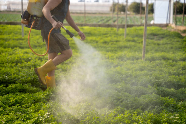 Best Ant Control Services  in Park City, MT