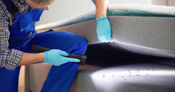 Best Exterminator Services  in Park City, MT